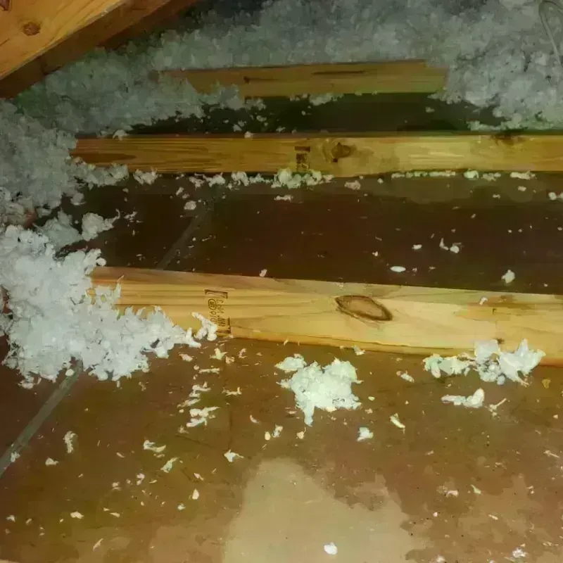 Attic Water Damage in Massanetta Springs, VA